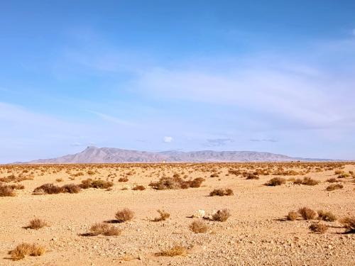 Taourirt.jpg (Autor: carles)