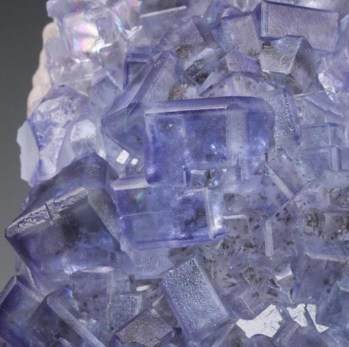 Fluorita<br />Collada Mine, La Collada mining area, Collada vein, La Collada, Siero, Comarca Oviedo, Principality of Asturias (Asturias), Spain<br />Detalle cristal de 1,2cm<br /> (Autor: castrominerals)