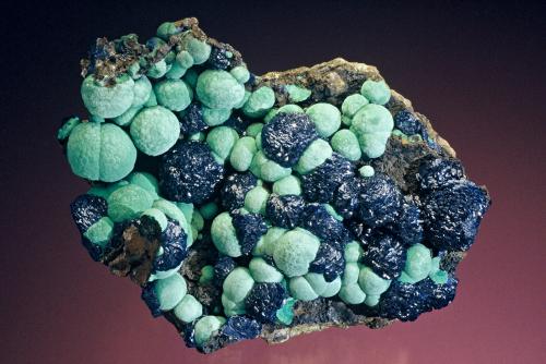 Azurite and malachite<br />Morenci, Distrito Copper Mountain, Montes Shannon, Condado Greenlee, Arizona, USA<br />11cm X 8cm<br /> (Author: Steve Maslansky)