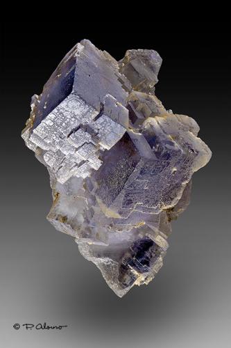 Fluorita<br />La Viesca Mine, La Collada mining area, Huergo, Siero, Comarca Oviedo, Principality of Asturias (Asturias), Spain<br />4cm x 4cm x 3,5cm<br /> (Autor: Pere Alonso)