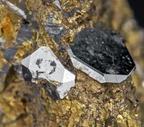 Sperrylita en Calcopirita<br />Talnakh, Noril'sk, Putoran Plateau, Taimyr Peninsula, Taymyrskiy Okrug, Krasnoyarsk Krai, Russia<br />cristal principal: 0.4 × 0.4 cm<br /> (Autor: Jordi Fabre)