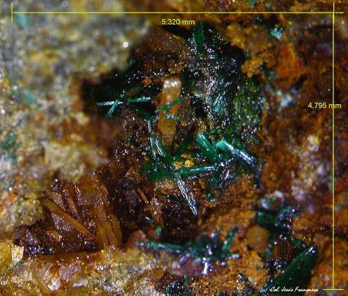 Brochantita y Cuarzo.<br />Mina Golosina, Cala del Mal Paso, Cuevas del Almanzora, Comarca Levante Almeriense, Almería, Andalucía, España<br />5´32x4´79 mm.<br /> (Autor: Jesus Franquesa Baucells)