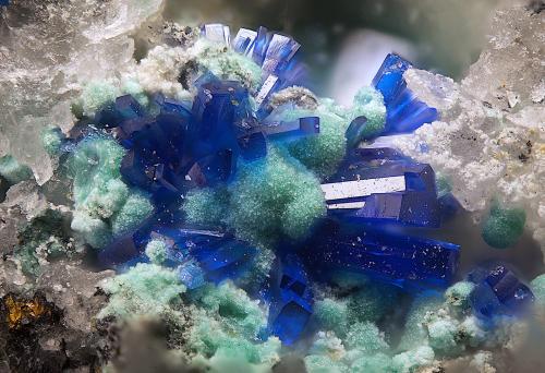 Linarita<br />Mina Terreras, Filón "Terreras", Alto del pozo del Carril, Villanueva del Duque, Comarca Los Pedroches, Córdoba, Andalucía, España<br />Campo de visión de  1 mm.<br /> (Autor: Antonio Carmona)