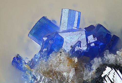 Linarita<br />Mina Terreras, Filón "Terreras", Alto del pozo del Carril, Villanueva del Duque, Comarca Los Pedroches, Córdoba, Andalucía, España<br />Campo de visión de  1 mm.<br /> (Autor: Antonio Carmona)