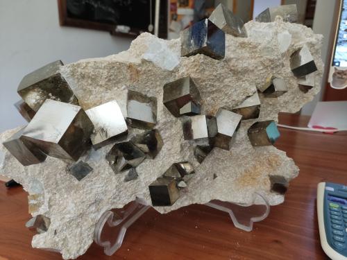 Pirita<br />Mina Ampliación a Victoria, Sierra de Alcarama, Navajún, Comarca Cervera, La Rioja, España<br />38 cm<br /> (Autor: Cesar M. Salvan)