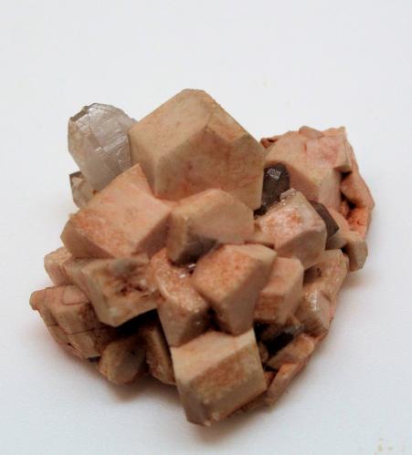 Microclina, Cuarzo<br />Massís del Montseny, Gerona / Girona, Cataluña / Catalunya, España<br />30 mm x 29 mm Cristal mayor: 10 mm Masa: 10,9 g<br /> (Autor: Carles Millan)