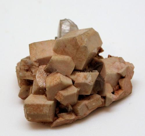 Microclina, Cuarzo<br />Massís del Montseny, Gerona / Girona, Cataluña / Catalunya, España<br />30 mm x 29 mm Cristal mayor: 10 mm Masa: 10,9 g<br /> (Autor: Carles Millan)