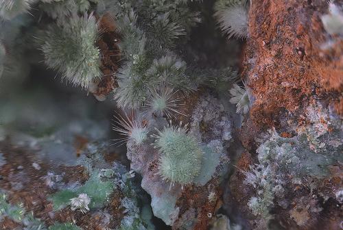 Olivenita<br />Trípoli Mine, Barranco del Cura, Huércal de Almería, Comarca Metropolitana de Almería, Almería, Andalusia, Spain<br />Campo de visión de  6 mm.<br /> (Autor: Antonio Carmona)