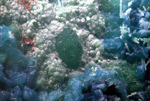 Goldhillita, crisocola y olivenita<br />Mina Trípoli, Barranco del Cura, Huércal de Almería, Comarca Metropolitana de Almería, Almería, Andalucía, España<br />Campo de visión de  3 mm.<br /> (Autor: Antonio Carmona)