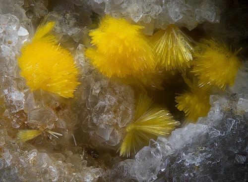 Kasolita<br />Mina San Rafael, Cardeña, Comarca Los Pedroches, Córdoba, Andalucía, España<br />Campo de visión de  2 mm.<br /> (Autor: Antonio Carmona)