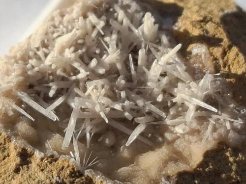 Aragonite<br />Predonico, Eppan, Oltradige- Bassa Atesina District, Bolzano Province/Südtirol, Region Trentino-Alto Adige/Region Trentino-Südtirol, Italien<br />2,5 x 2,5 cm<br /> (Author: Volkmar Stingl)