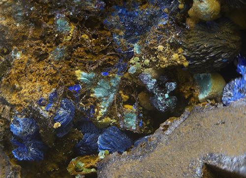 Azurita<br />Minas de Cala, Cala, Comarca Sierra de Huelva, Huelva, Andalucía, España<br />Campo de visión de  4 mm.<br /> (Autor: Antonio Carmona)