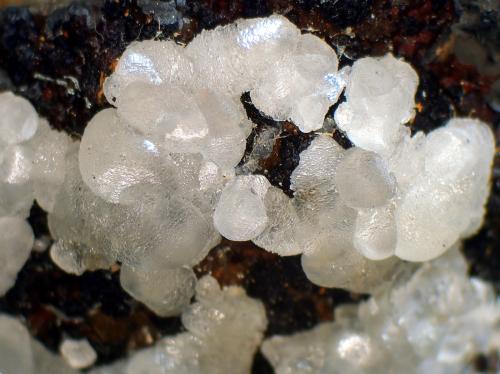 Smithsonita<br />Mina El Lirio, Cabezo de Ponce, Llano del Beal, Cartagena, Comarca Campo de Cartagena, Región de Murcia (Murcia), España<br />Campo de visión 2 cm.<br /> (Autor: Antonio P. López)