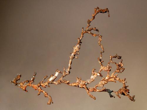 Copper<br />Mina White Pine, White Pine, Condado Ontonagon, Michigan, USA<br />7.8 x 6.8 x 1.0 cm<br /> (Author: Michael Shaw)