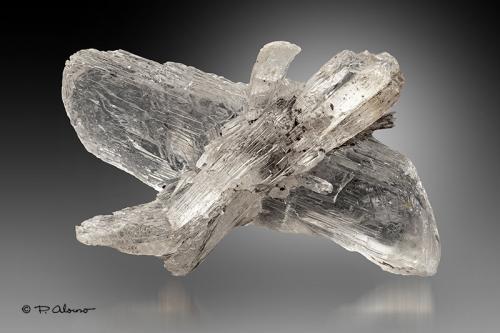 Yeso<br />Barranco de la Tejera, Loma de la Cuna, Montalbán, Comarca Cuencas Mineras, Teruel, Aragón, España<br />5,5cm x 3cm x 3,5cm<br /> (Autor: Pere Alonso)