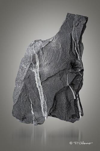 Grafito con Crisotilo<br />El Muyo, Riaza, Comarca Tierras de Riaza, Segovia, Castilla y León, España<br />6cm x 4,5cm x 0,5cm<br /> (Autor: Pere Alonso)