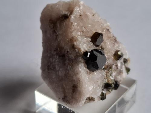 Fluor-Uvite, Magnesite<br />Pozo Pomba, Serra das Éguas, Brumado, Bahia, Región Nordeste, Brasil<br />3,5 x 2,5 cm<br /> (Author: Volkmar Stingl)