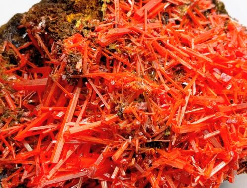 Crocoita.<br />Mina Red Lead, Campo minero Dundas, Distrito Zeehan, Consejo Costa Oeste, Tasmania, Australia<br />8x5 cm<br /> (Autor: AntonioJesus)