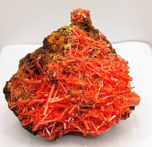 Crocoita.<br />Mina Red Lead, Campo minero Dundas, Distrito Zeehan, Consejo Costa Oeste, Tasmania, Australia<br />8x5 cm<br /> (Autor: AntonioJesus)