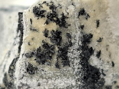 Ludwigite<br />Vedretta della Miniera, Val Zebrù, Valfurva, Sondrio, Lombardia, Italia, Italia<br />4 x 3 cm<br /> (Author: Volkmar Stingl)