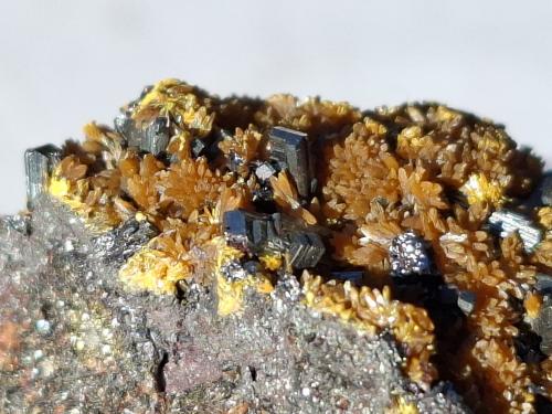 Hutchinsonite, Orpiment<br />Quiruvilca Mine (La Libertad Mine), Quiruvilca District, Santiago de Chuco Province, La Libertad Department, Peru<br />3,5 x 2,5 cm<br /> (Author: Volkmar Stingl)