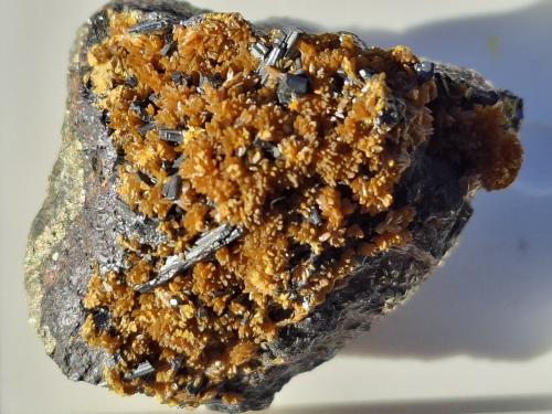 Hutchinsonite, Orpiment<br />Quiruvilca Mine (La Libertad Mine), Quiruvilca District, Santiago de Chuco Province, La Libertad Department, Peru<br />3,5 x 2,5 cm<br /> (Author: Volkmar Stingl)