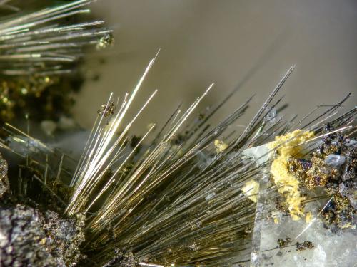 Millerita<br />Mina Eugenia, Bellmunt del Priorat, Comarca Priorat, Tarragona, Cataluña / Catalunya, España<br />15 mm<br /> (Autor: Borja Sainz de Baranda)