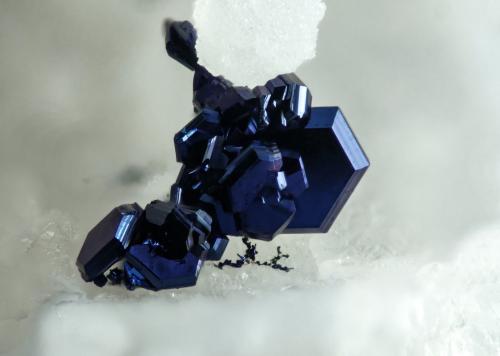 Covellina<br />Barranco del Celejo, Níjar, Comarca Metropolitana de Almería, Almería, Andalucía, España<br />4 mm<br /> (Autor: Borja Sainz de Baranda)