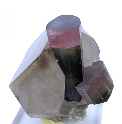 Elbaite, Quartz<br />Mina Himalaya, Gem Hill, Distrito Mesa Grande, San Diego County, California, USA<br />65 mm x 57 mm x 50 mm. Tourmaline: 45 tall, 13 wide. Mass: 135g<br /> (Author: Carles Millan)