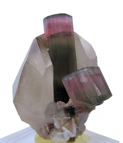 Elbaite, Quartz<br />Mina Himalaya, Gem Hill, Distrito Mesa Grande, San Diego County, California, USA<br />65 mm x 57 mm x 50 mm. Tourmaline: 45 tall, 13 wide. Mass: 135g<br /> (Author: Carles Millan)