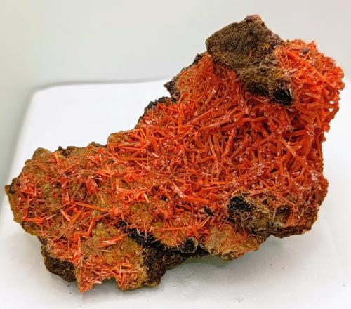 Crocoita.<br />Mina Red Lead, Campo minero Dundas, Distrito Zeehan, Consejo Costa Oeste, Tasmania, Australia<br />10x5 cm<br /> (Autor: AntonioJesus)