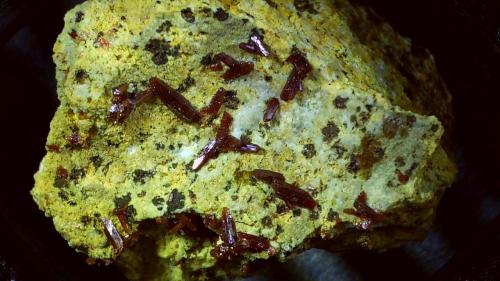 Vanadinite<br />Mina Stefanie, Zona minera Bleiberg, Bad Bleiberg, Distrito Villach-Land, Carintia/Kärnten, Austria<br />1,8 x 1,4 cm<br /> (Author: Volkmar Stingl)