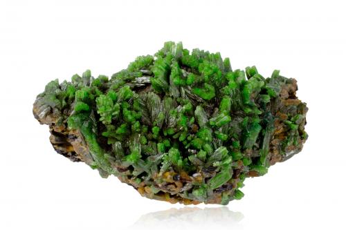 Pyromorphite on Baryte with limonite<br />Les Farges Mine (Des Farges Mine), Ussel, Corrèze, Nouvelle-Aquitaine, France<br />9.5 x 5.5 x 4.5 cm / main crystal: 1.4 cm<br /> (Author: MIM Museum)