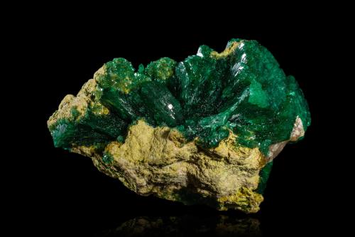 Zincolivenita en Ferrilotharmeyerita<br />Tsumeb Mine, second oxidation zone, Tsumeb, Otjikoto Region, Namibia<br />4.5 x 2 x 3 cm / cristal principal: 2 cm<br /> (Autor: Museo MIM)