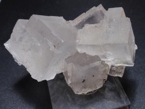 Halita<br />Zona Demnate, Provincia Azilal, Región Béni Mellal-Khénifra, Marruecos<br />70x50 mm<br /> (Autor: Ignacio)