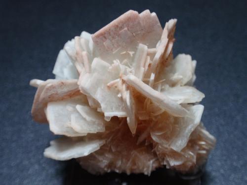 Barita<br />Marruecos<br />40x40 mm<br /> (Autor: Ignacio)