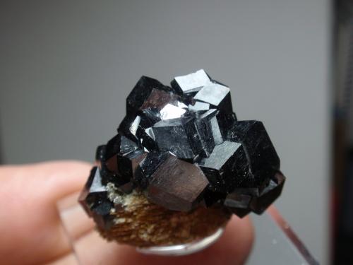 Andradita (variedad melanita)<br />Zona Imilchil, Anti-Atlas, Provincia Er Rachidia, Región Drâa-Tafilalet, Marruecos<br />20x25 mm<br /> (Autor: Ignacio)