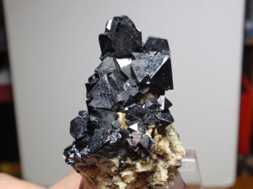 Magnetita<br />Zona Imilchil, Anti-Atlas, Provincia Er Rachidia, Región Drâa-Tafilalet, Marruecos<br />30x55<br /> (Autor: Ignacio)