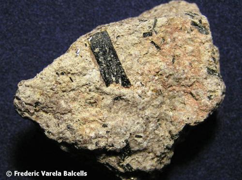 Hornblenda<br />Afloramiento en Cerro de Enmedio, Cerro de Enmedio, pedanía San José, Níjar, Comarca Metropolitana de Almería, Almería, Andalucía, España<br />3 x 2,5 cm<br /> (Autor: Frederic Varela)