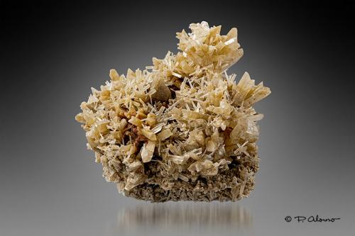 Yeso<br />Chartered Community of Navarre (Navarre), Spain<br />5,5cm x 5,5cm x 4cm<br /> (Autor: Pere Alonso)