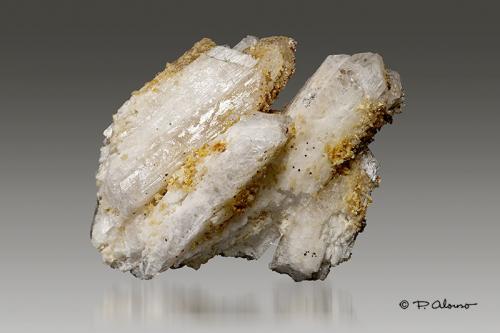 Danburita<br />Charcas, Municipio Charcas, San Luis Potosí, México<br />6cm x 8cm x 3,5cm<br /> (Autor: Pere Alonso)