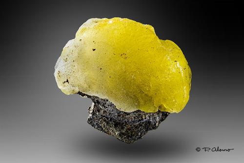 Brucita<br />Kharan District, Balochistan (Baluchistan), Pakistan<br />3,5cm x 3cm x 1,3cm<br /> (Autor: Pere Alonso)