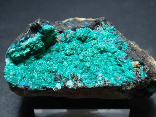 Dioptasa<br />Mina La Farola, Cerro Pintado, Distrito Las Pintadas, Tierra Amarilla, Provincia Copiapó, Región Atacama, Chile<br />60x30 mm<br /> (Autor: Ignacio)