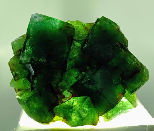 Fluorita<br />Mina Okorusu, Distrito Otjiwarongo, Región Otjozondjupa, Namibia<br />13x10 cm.<br /> (Autor: AntonioJesus)