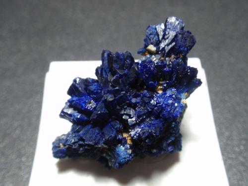 Azurita<br />Kara-Shoshak Mine, Dzhezkazgan, Karaganda Region, Kazakhstan<br />25x25 mm<br /> (Autor: Ignacio)