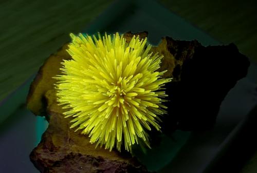 Aragonito<br />La Serna Quarry (La Tinaja Quarry), La Serna, Pantoja, Comarca La Sagra, Toledo, Castilla-La Mancha, Spain<br />Grupo 2 cm<br /> (Autor: Cesar M. Salvan)