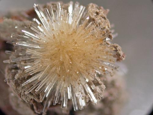 Aragonito<br />La Serna Quarry (La Tinaja Quarry), La Serna, Pantoja, Comarca La Sagra, Toledo, Castilla-La Mancha, Spain<br />1 cm<br /> (Autor: Cesar M. Salvan)