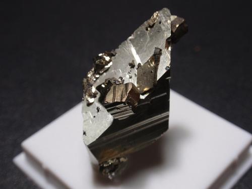 Pirita<br />Laki, Rhodope Mountains, Laki Municipality, Plovdiv Oblast, Bulgaria<br />15x35 mm<br /> (Autor: Ignacio)