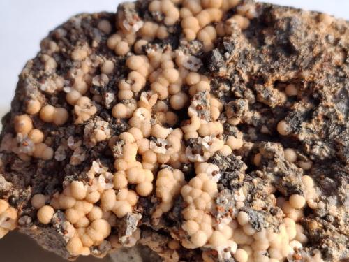 Harmotome<br />Contrada Segani, Monte Segan, San Bartolo di Arzignano, Arzignano, Vicenza Province, Veneto, Italy<br />4,5 x 3 cm<br /> (Author: Volkmar Stingl)