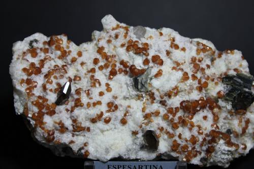 Spessartina, Cuarzo, Moscovita<br />Savda, Sawade Pr Chandsar, Jalgaon District, Nashik Division, Maharashtra, India<br />130 x 70 mm.<br /> (Autor: Joaquin Blanco Cortina)